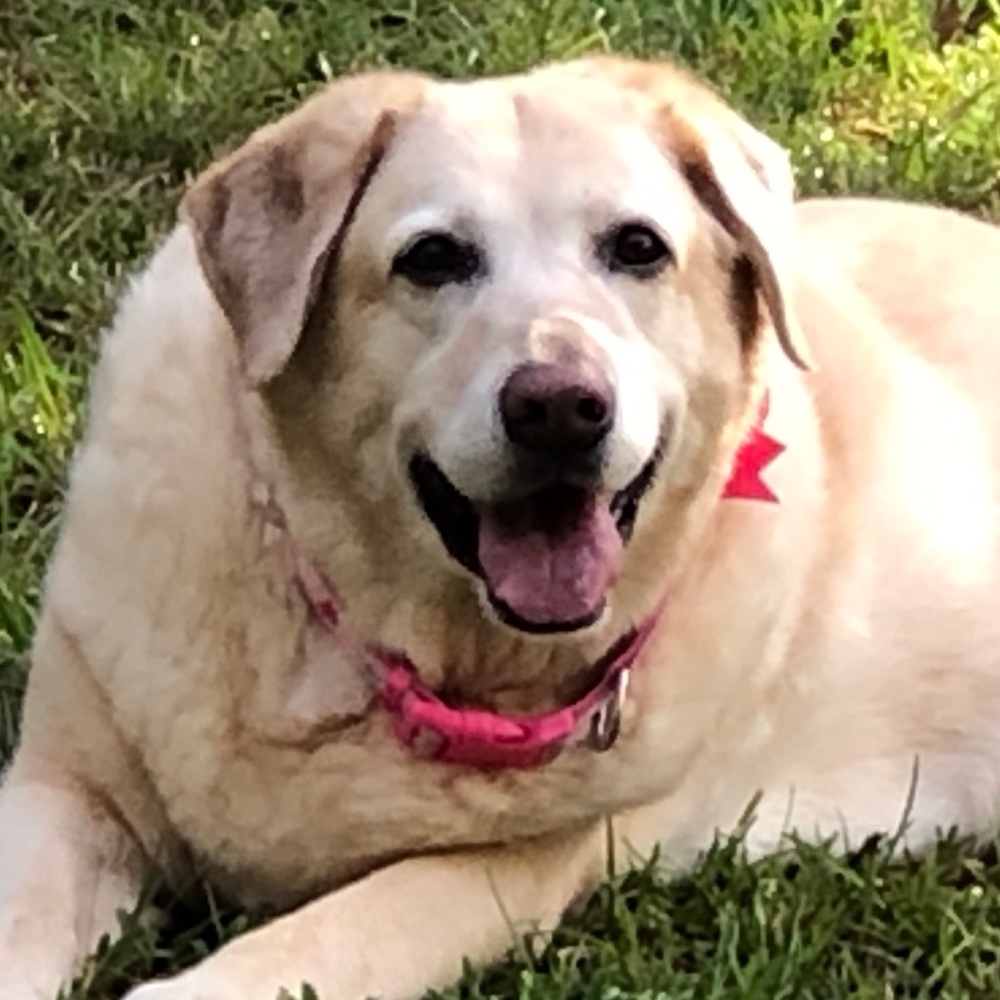 Meet your Posher, Cami